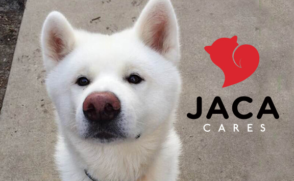 JACA Cares logo